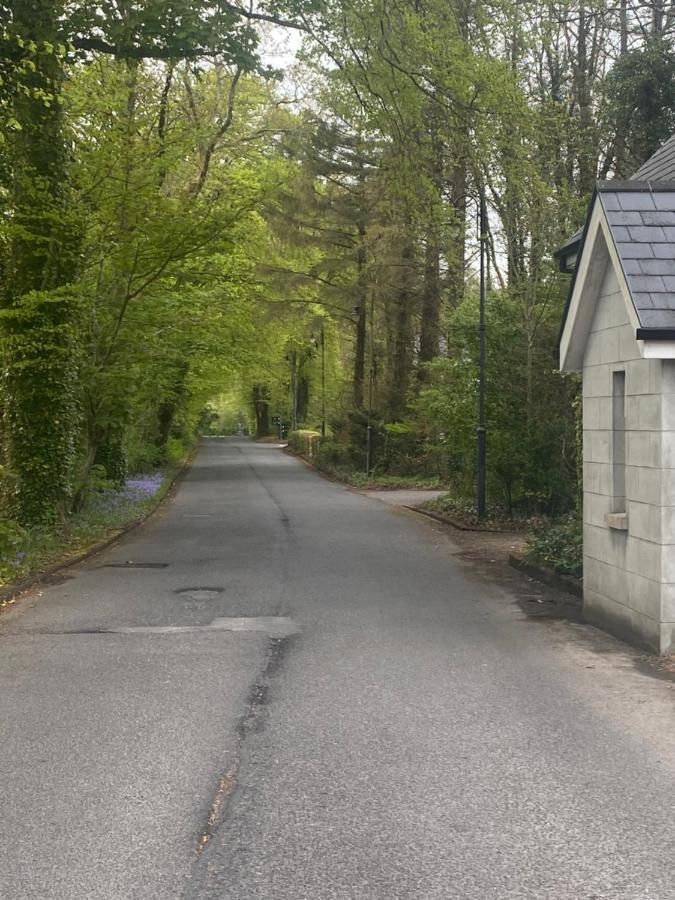 3 The Courtyard Castle Dargan Apartment Ballygawley Екстериор снимка